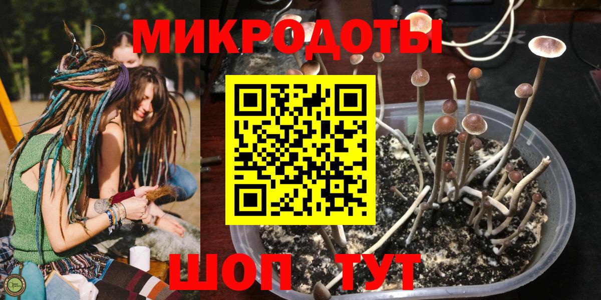 Галлюциногенные грибы MAGIC MUSHROOMS Крымск